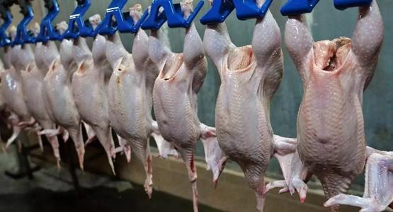 2020年世界禽肉出口前五排名变动
